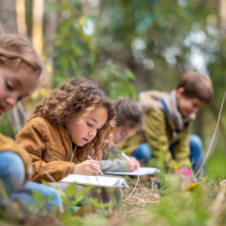 Eine Gruppe von Kindern kniet auf dem Waldboden und schreibt konzentriert in Notizbücher. Der Fokus liegt auf einem Mädchen mit lockigem Haar im Vordergrund, das mit einem Stift arbeitet, während die Umgebung in weichem, natürlichem Licht erscheint.