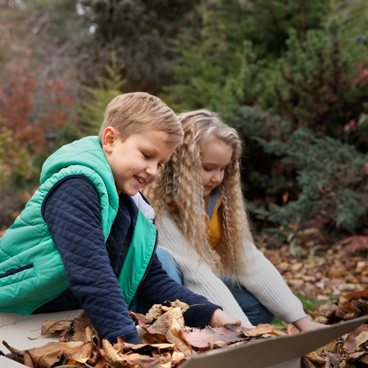 Ein Junge in einer grünen Weste und ein Mädchen mit langen, lockigen Haaren knien draußen im Herbstlaub. Sie sammeln gemeinsam braune Blätter in einen Pappkarton und lächeln dabei. Im Hintergrund sind grüne Nadelbäume und herbstliche Sträucher zu erkennen.